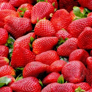 robot-picks-ripe-strawberries
